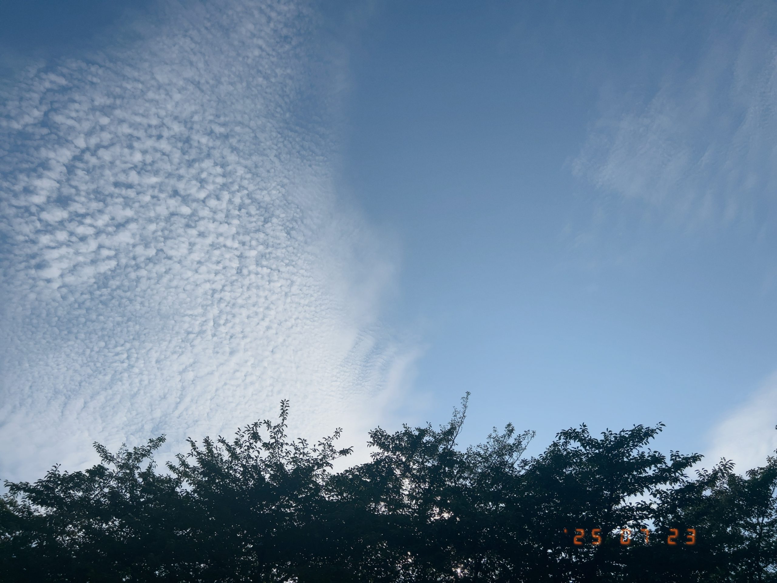 空の写真、夏の空