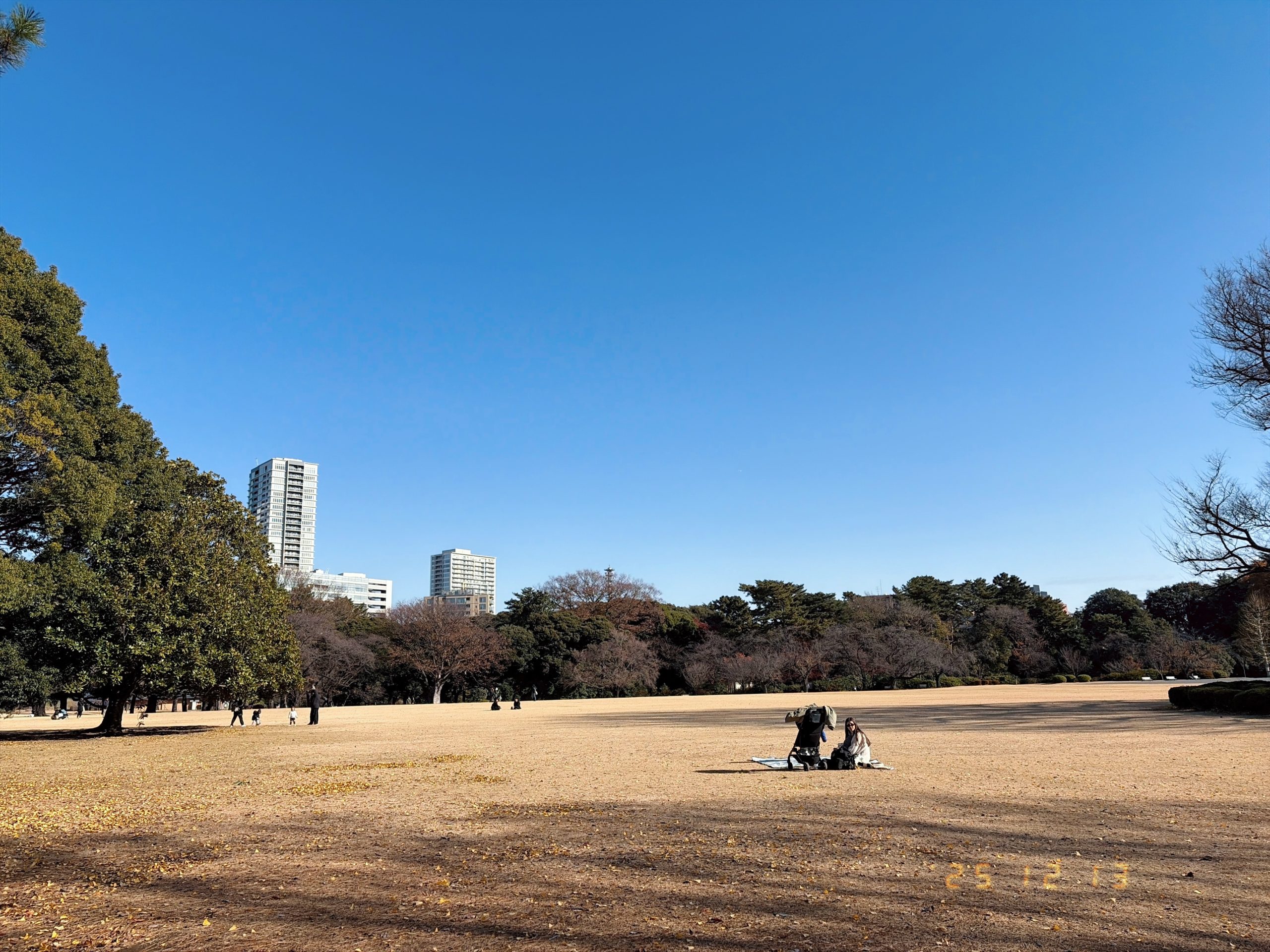新宿御苑の芝生広場