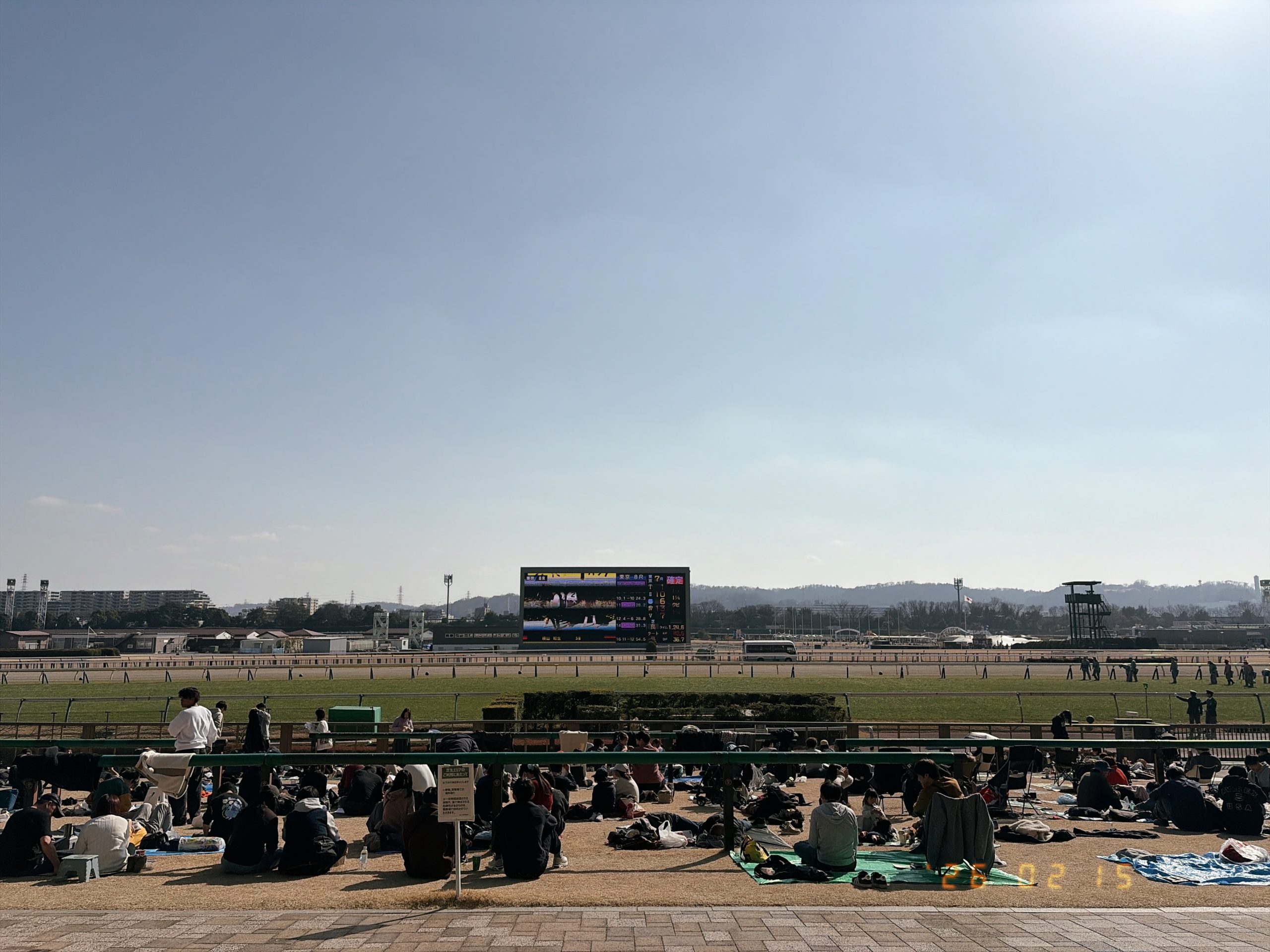 東京競馬場の風景
